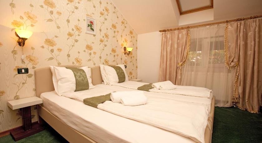 Pension Dinu Residence Timisoara Exterior foto